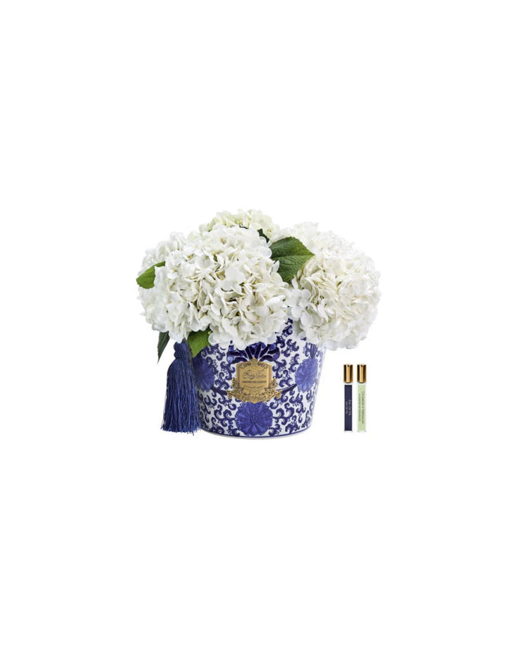 Cote Noire - Oriental Hydrangeas - Ivory - OH01