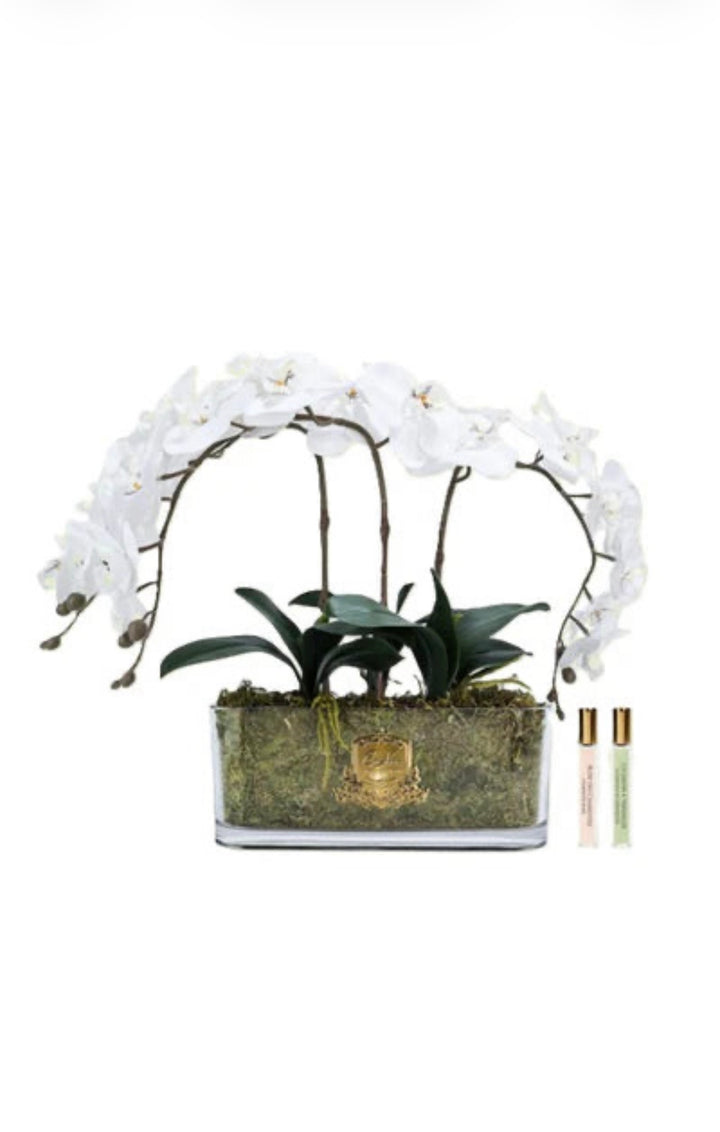 Cote Noire Oval Orchid Bouquet - White &amp; Gold Badge - OOV01