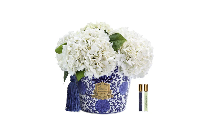 Cote Noire - Oriental Hydrangeas - Ivory - OH01