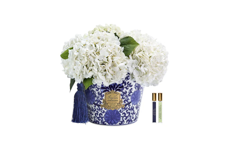 Cote Noire - Oriental Hydrangeas - Ivory - OH01
