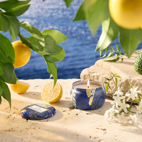 VOLUSPA Mediterranean Lemon Decorative Candle